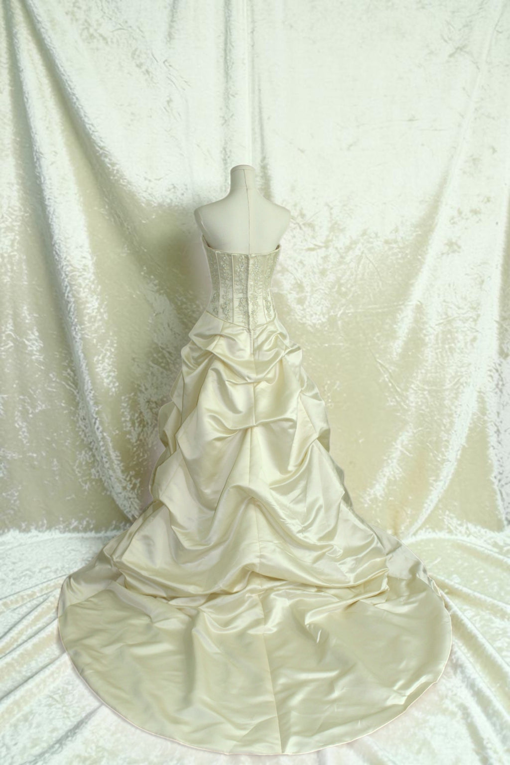 Champagne/Gold Wedding Gown