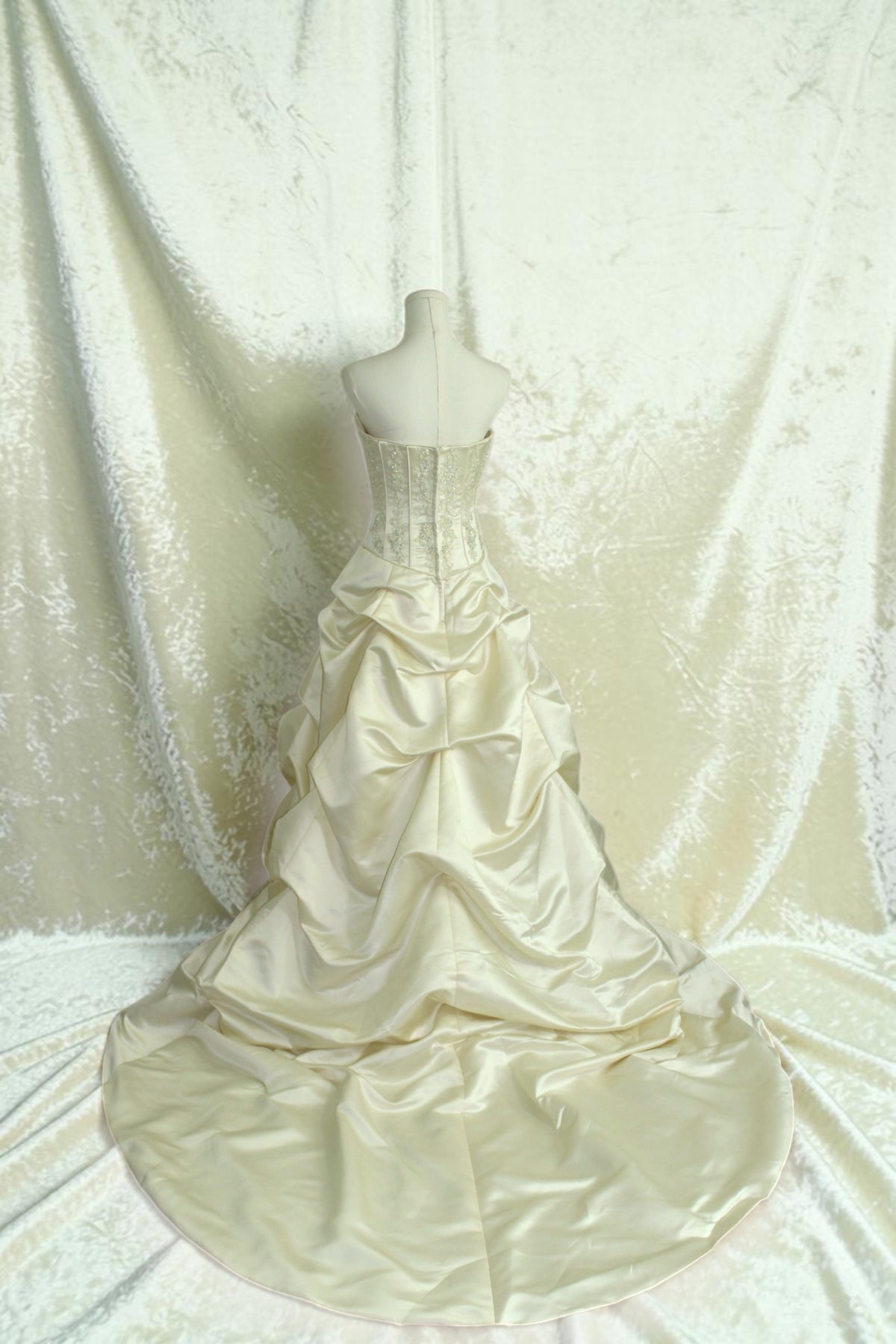 Champagne/Gold Wedding Gown